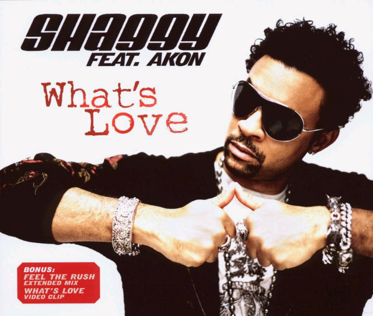 Shaggy feat. Akon – What's Love