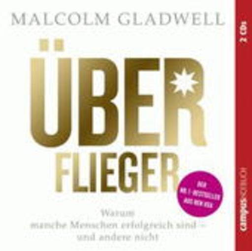 Jan Reinhartz/Rainer Maria Erhardt/Marcel Friedel – Über Flieger - Warum manche Menschen erfolgreich sind - und andere nicht
