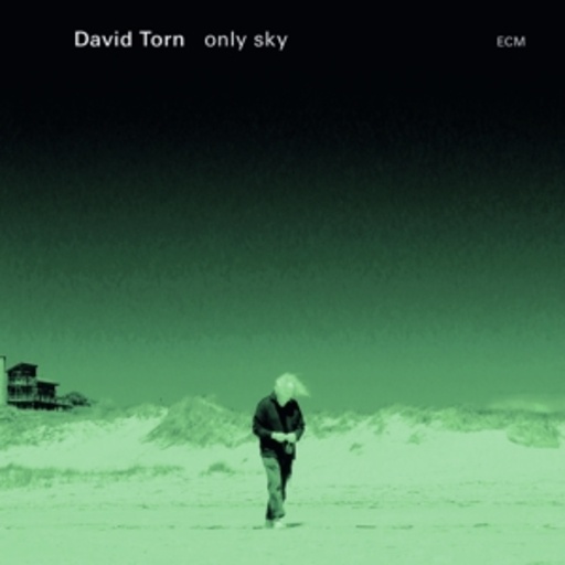 David Torn – Only Sky