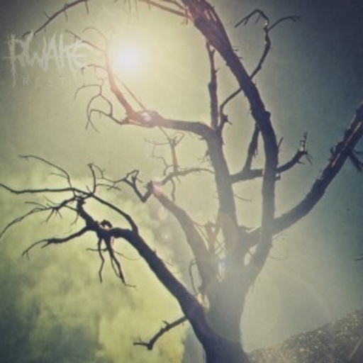 Rwake – Rest
