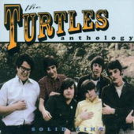 Turtles – Solid Zinc: Anthology