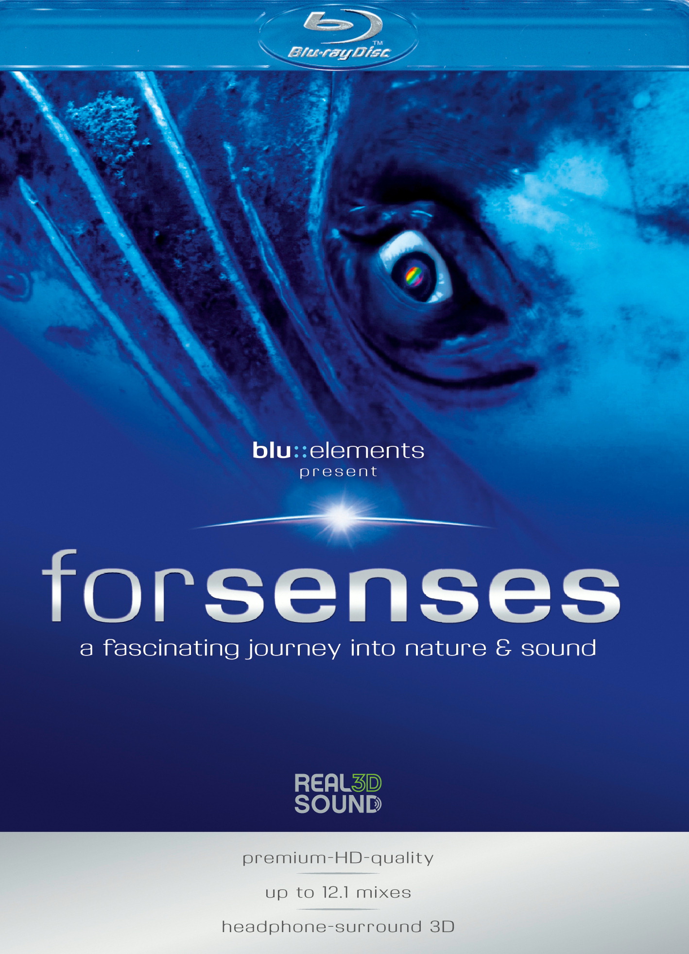 Blu::Elements Project – Forsenses