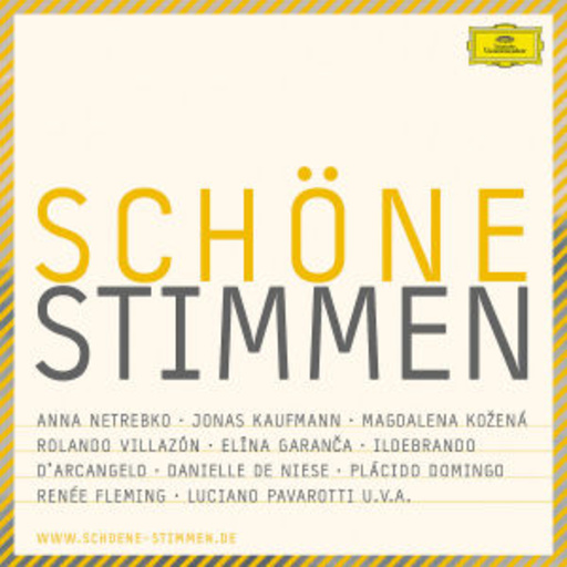 Diverse – Schöne Stimmen