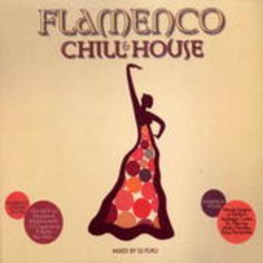 Diverse – Flamenco Chill And House