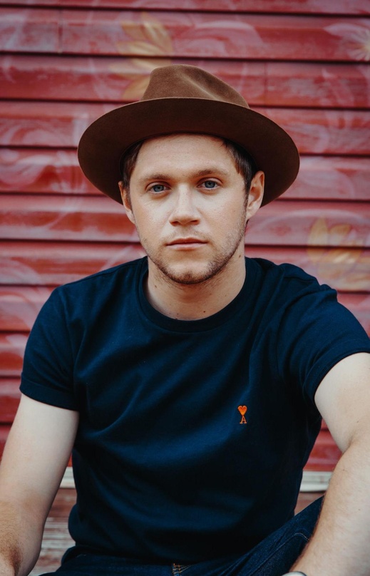 Knüpft an die Solo-Erfolge seiner Bandkollegen an: Niall Horan