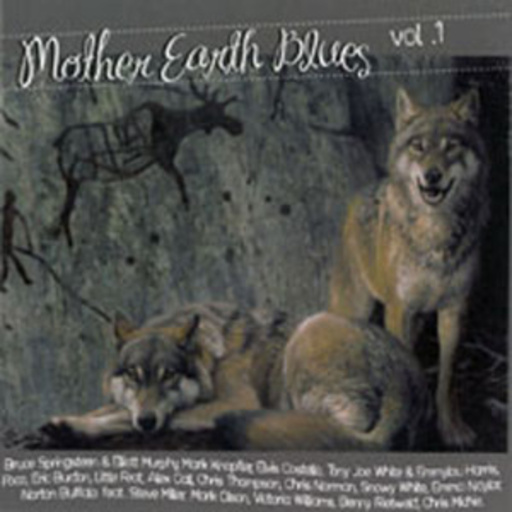 Diverse – Mother Earth Blues