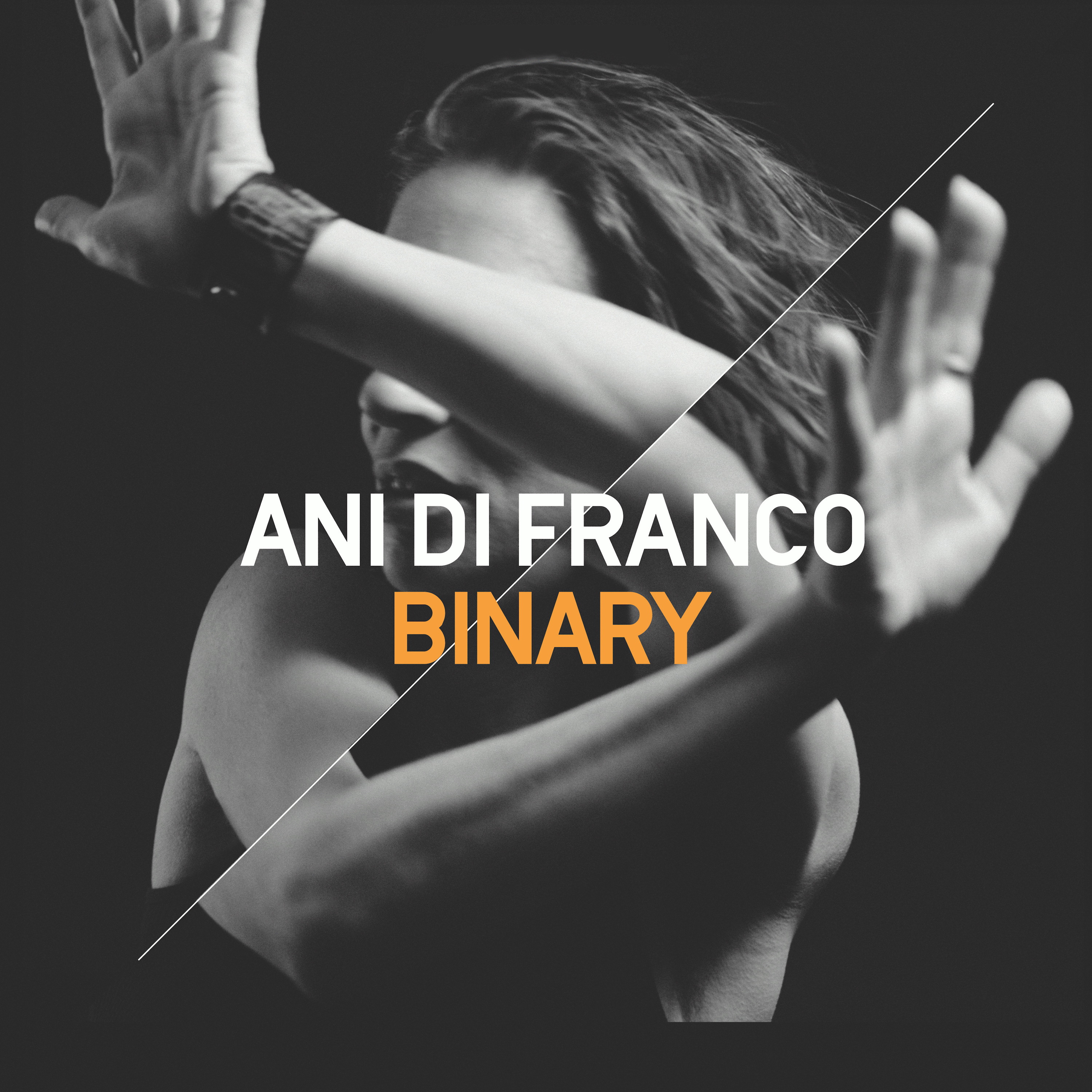 Ani DiFranco – Binary