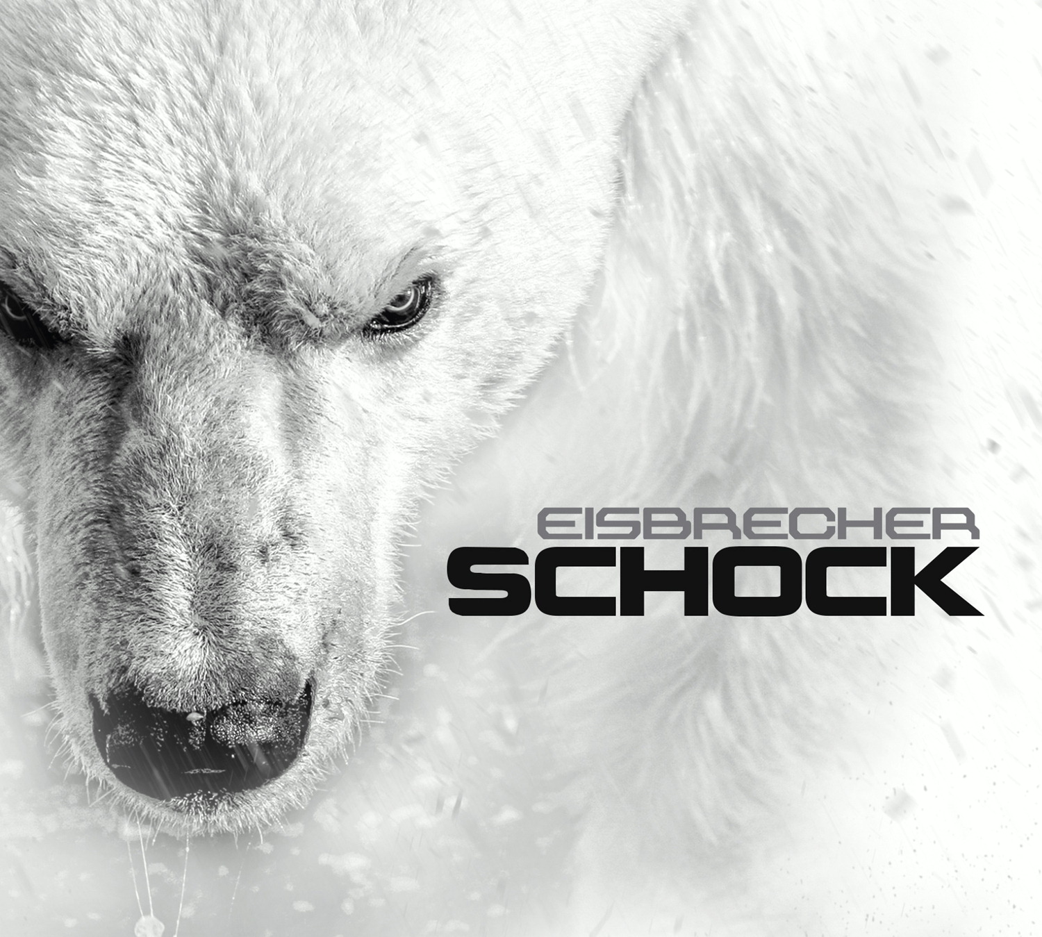 Eisbrecher – Schock
