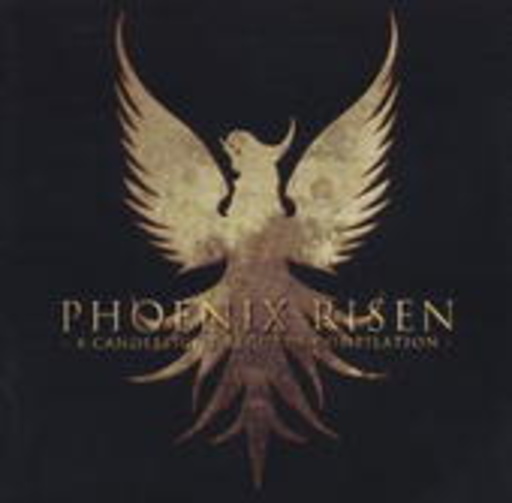 Diverse – Phoenix Risen