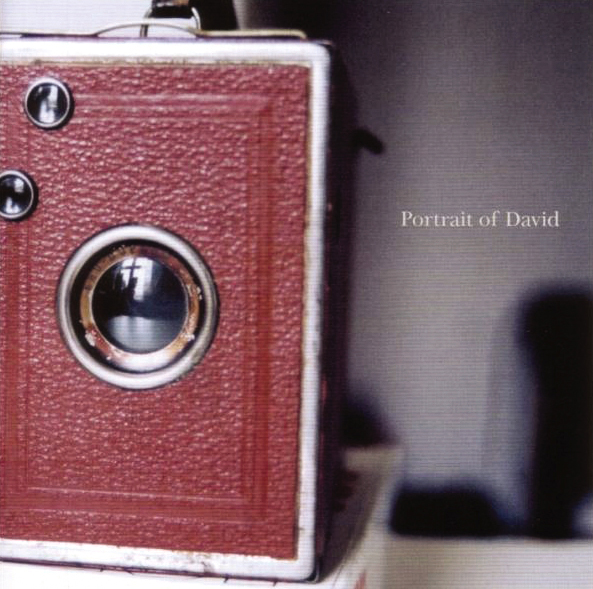 Portrait Of David – These Days Are Hard To Ignore