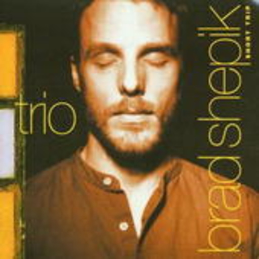 Brad Shepik Trio – Short Trip