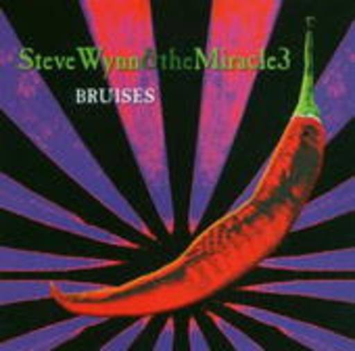 Steve Wynn – Bruises