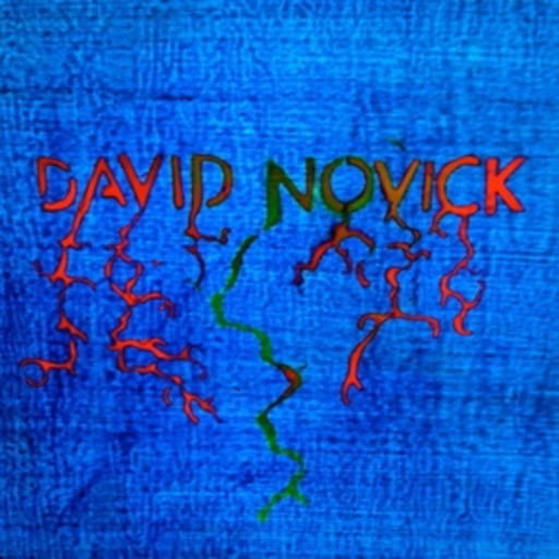 David Novick – David Novick