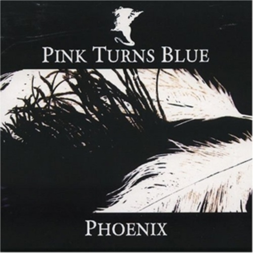 Pink Turns Blue – Phoenix