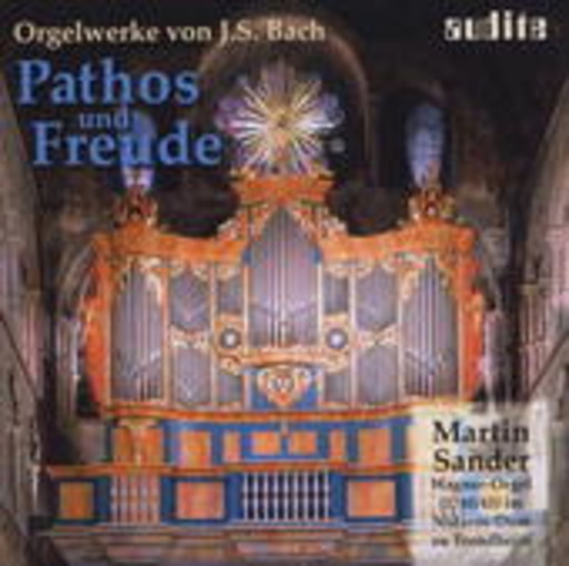 Martin Sander – Pathos und Freude