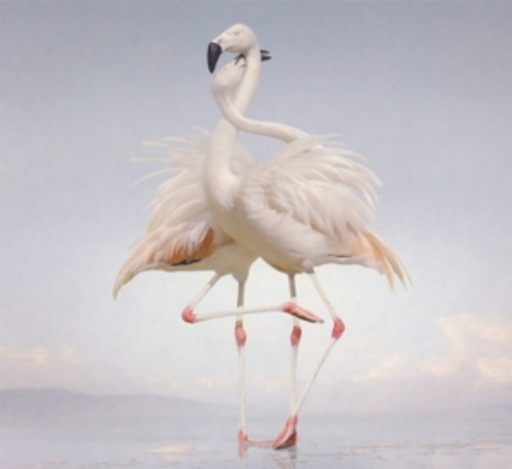 Rustie – Green Language