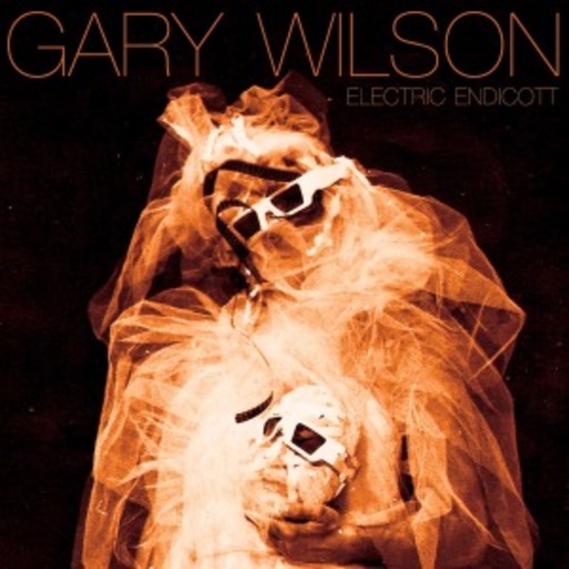 Gary Wilson – Electric Endicott
