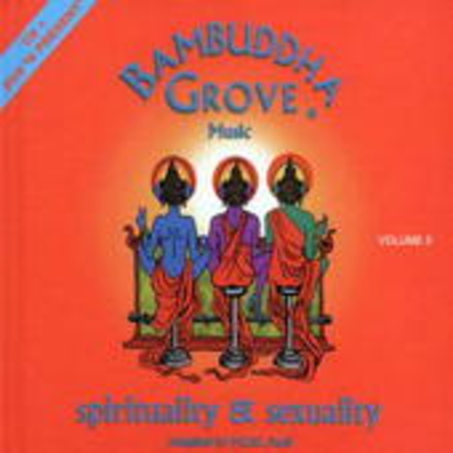 Diverse – Bambuddha Groove Vol. 5