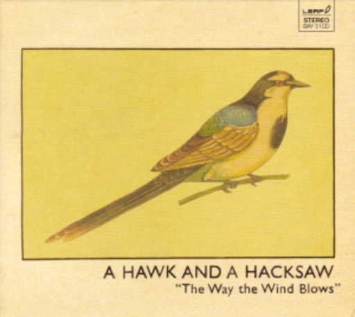A Hawk And A Hacksaw – The Way The Wind Blows