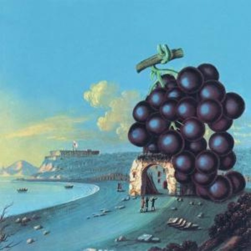 Moby Grape – Wow