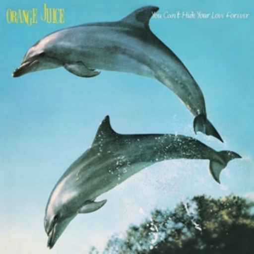 Orange Juice – You Can't Hide Your Love Forever