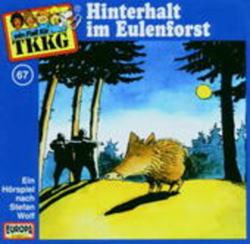 TKKG – Hinterhalt im Eulenforst (67)
