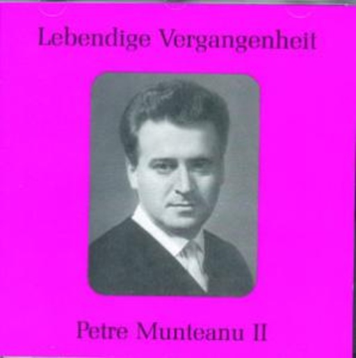 Petre Munteanu – Petre Munteanu II