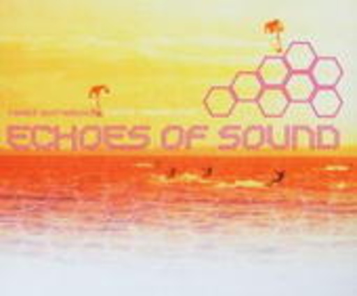 Echoes Of Sound – Need Somebody