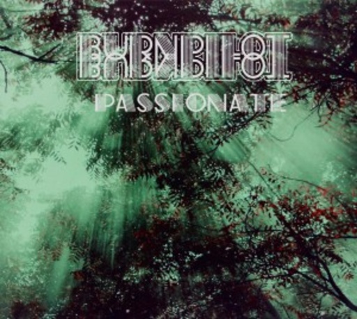 Burn Pilot – Passionate