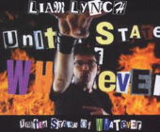 Liam Lynch – United States Of Whatever