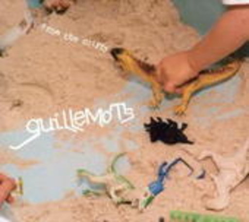 Guillemots – From The Cliffs