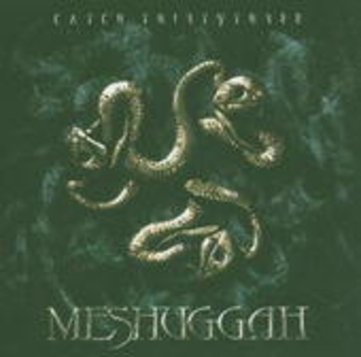 Meshuggah – Catch Thirty Three