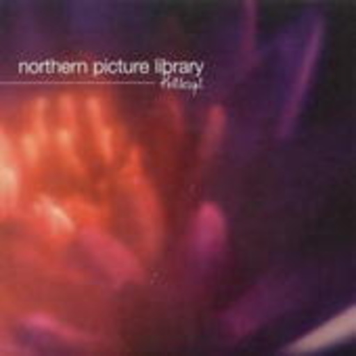 Northern Picture Library – Postscript