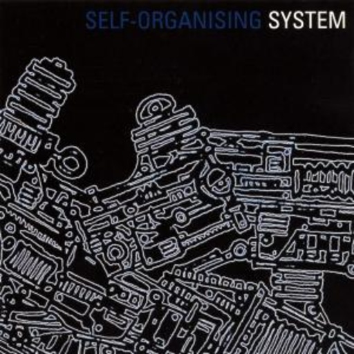 System – Self Organising System