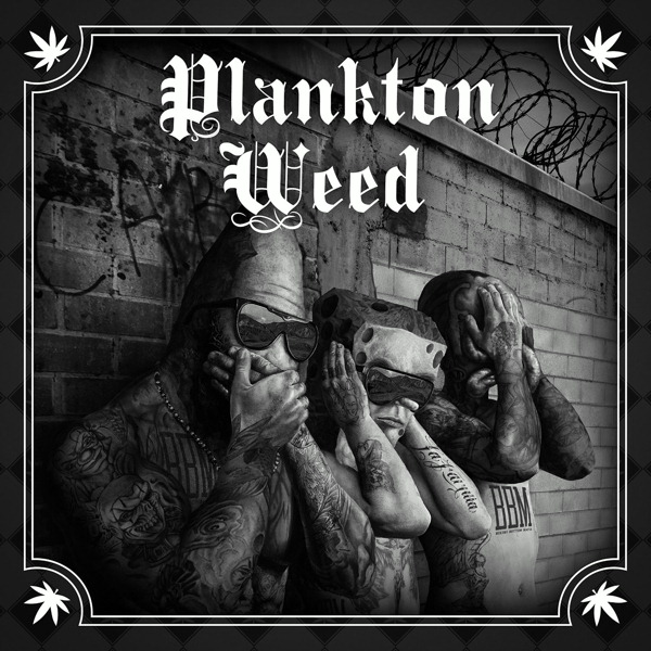 SpongeBozz – Planktonweed Tape