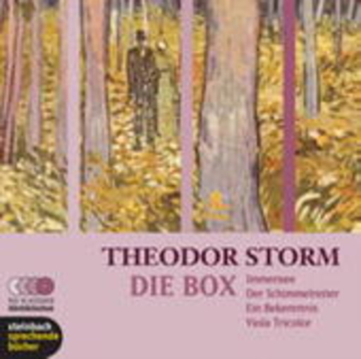 Diverse – Theodor Storm - die Box