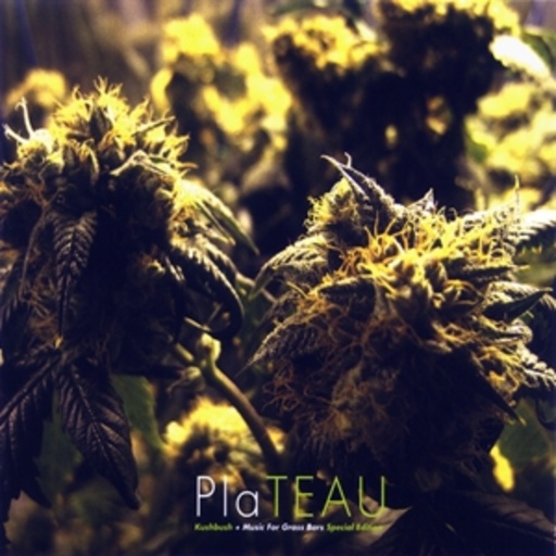 Plateau – Kusbush/Music For Grass Bars