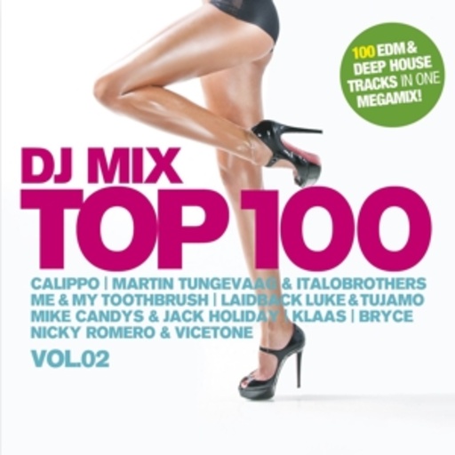 Diverse – DJ Mix Top 100 Vol. 2