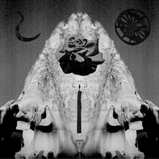 Matchess – Seraphastra