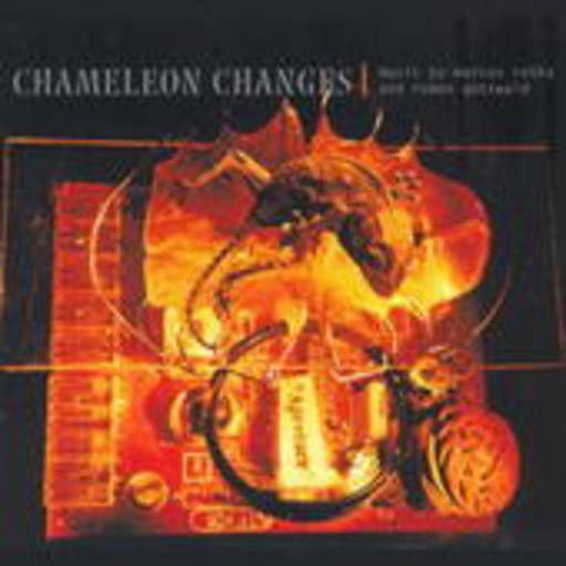 Marcus Ratka/Roman Gottwald – Chameleon Changes