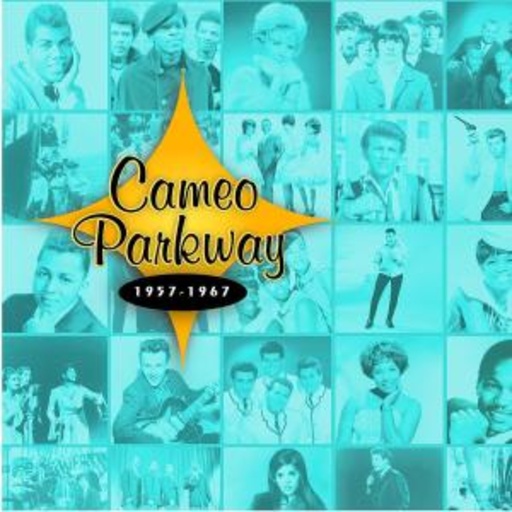Diverse – Cameo Parker