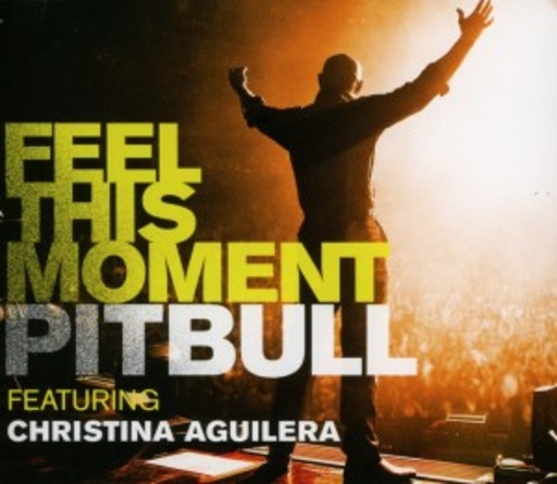 Pitbull feat. Christina Aguilera – Feel This Moment
