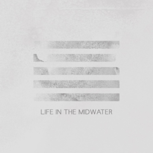 Aisha Burns – Life In The Midwater