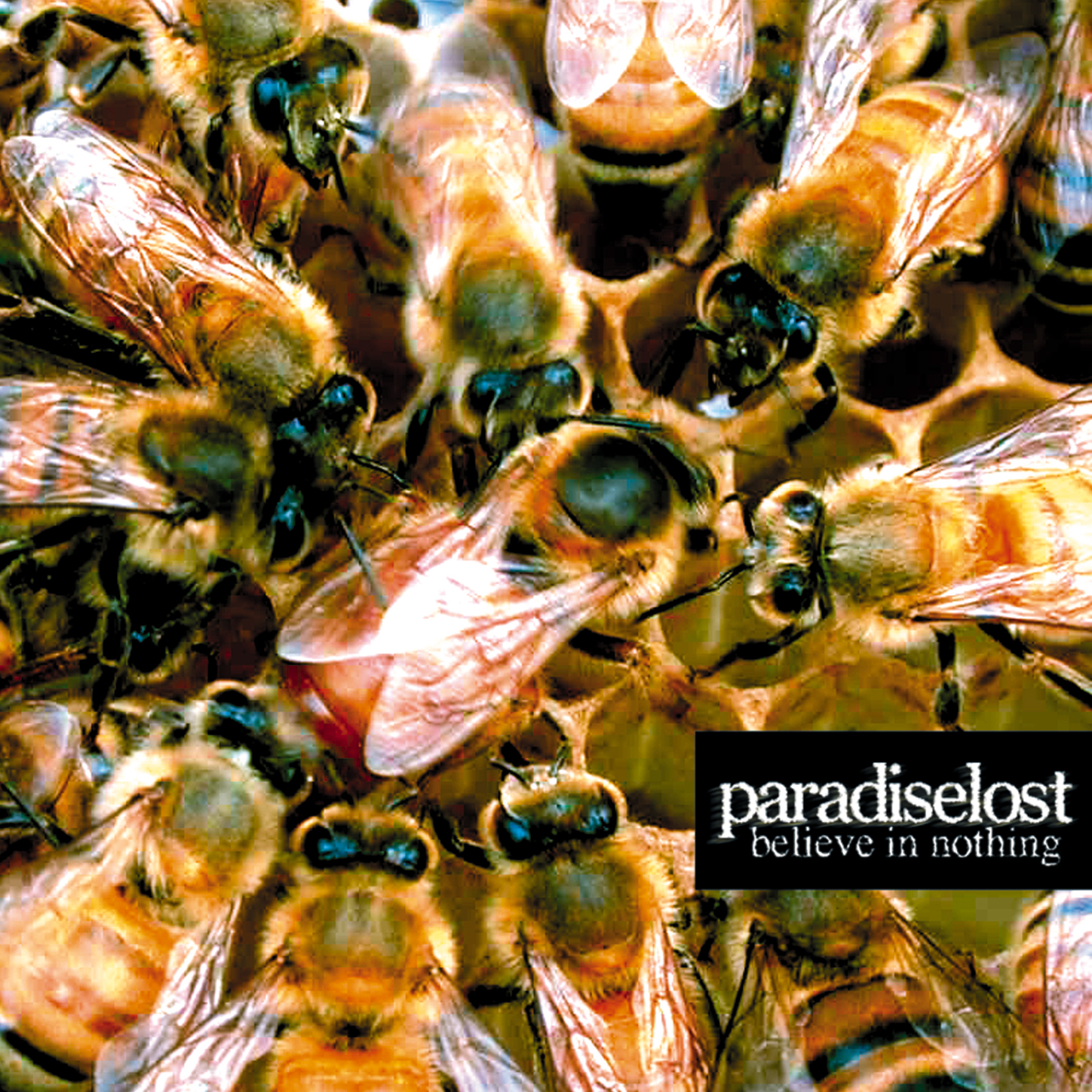 Paradise Lost – Believe In Nothing