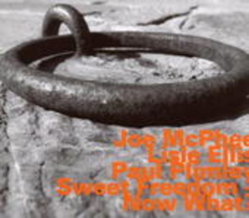 Joe McPhee & Lisle Ellis & Paul Plimley – Sweet Freedom - Now What?