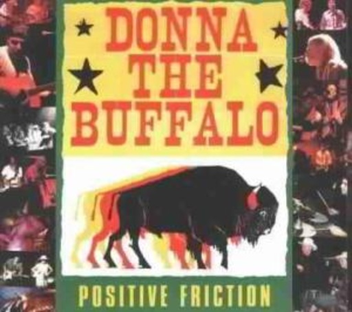 Donna The Buffalo – Positive Friction