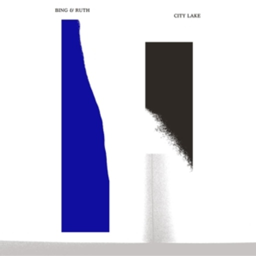 Bing & Ruth – City & Lake