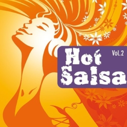 Diverse – Got Salsa - Vol. 2