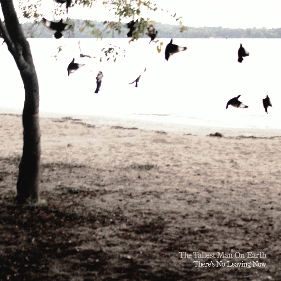 The Tallest Man On Earth – There's No Leaving Now
