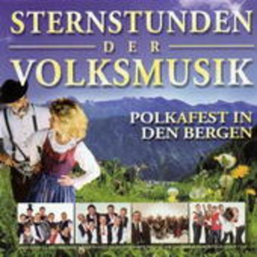 Diverse – Sternstunden der Volksmusik - Polkafest in den Bergen